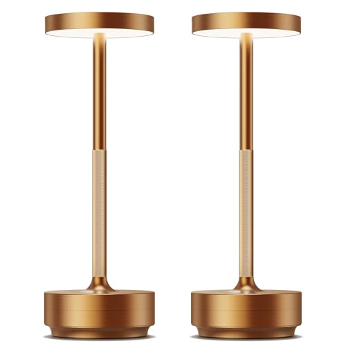 LED Cordless Table Lamp Rechargeable (2 Count)