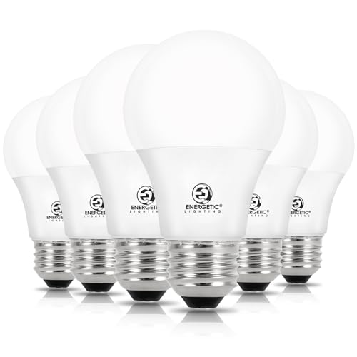 Dimmable LED Light Bulbs (6 Count)