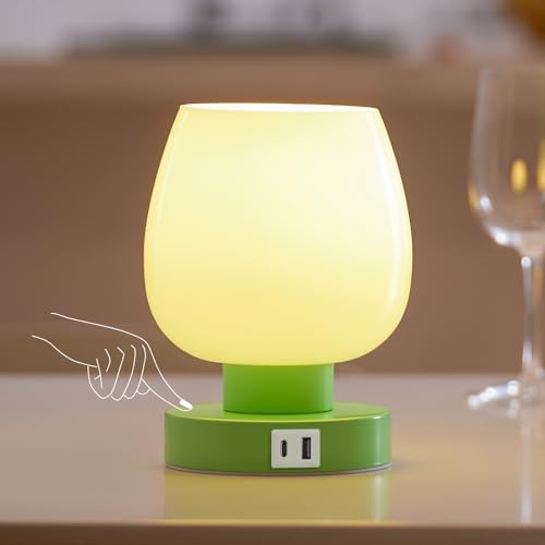 Touch Bedside Table Lamp with USB Charging