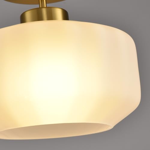 Industrial Gold Matte Light Fixtures Ceiling Mount