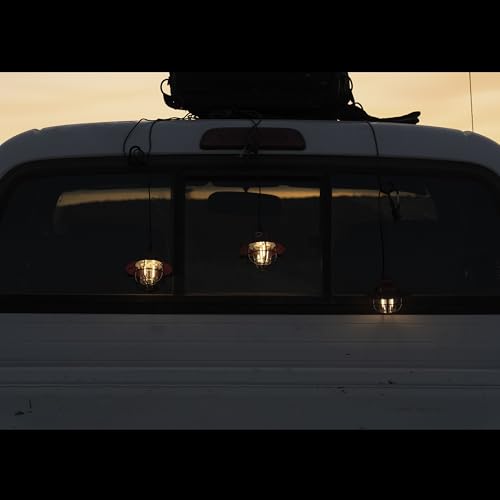 Edison Pendant String Lights