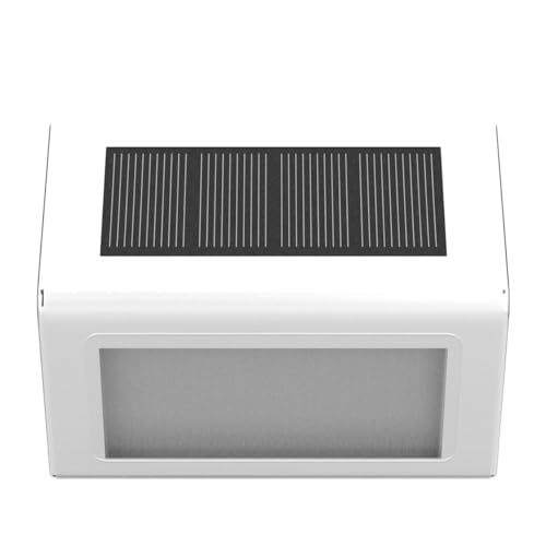 Solar Step Lights (12 Count)