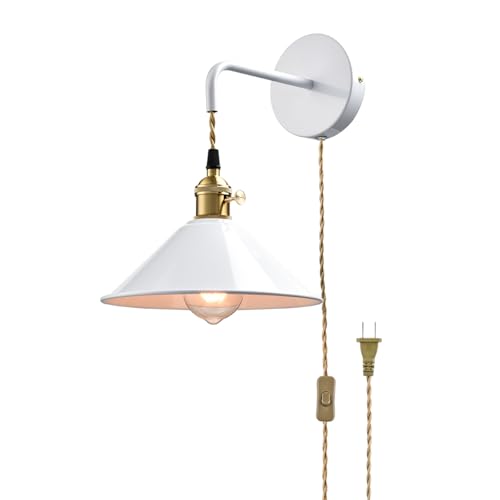 Hanging Height Adjustable Wall Sconce