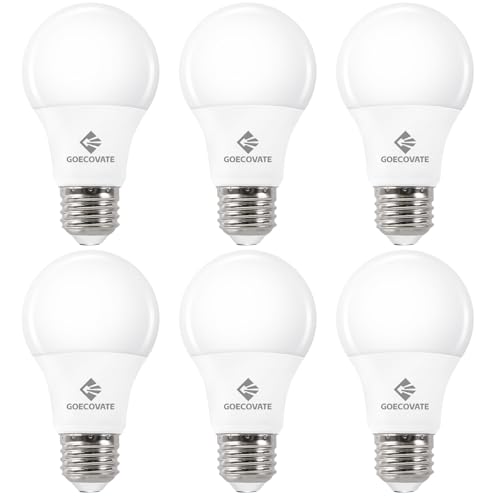 6 Pack A19 Light Bulbs Warm White 3000K 60 Watt Equivalent Led Light Bulb (6 Count)