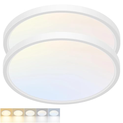 2 Pack LED Flush Mount Ceiling Light