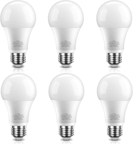 LED Light Bulb (6 Count)