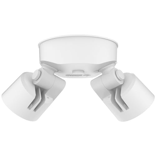 HomeGuard 2 Light LED Outdoor Flood Lights