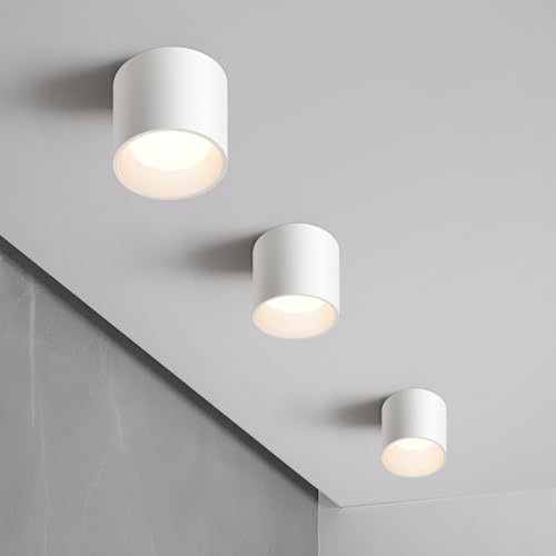 White Flush Mount Ceiling Light Fixtures for Hallway Entryway