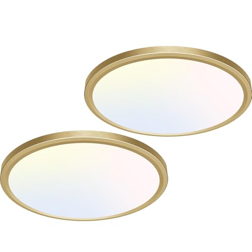 12 Inch LED Ceiling Light Golden (2 Count)