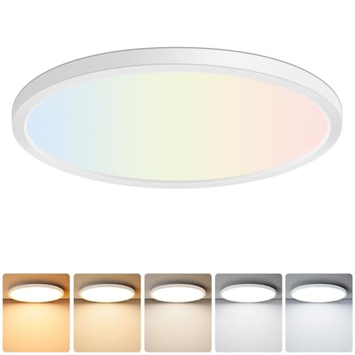 12 Inch LED Flush Mount Ceiling Light Fixture