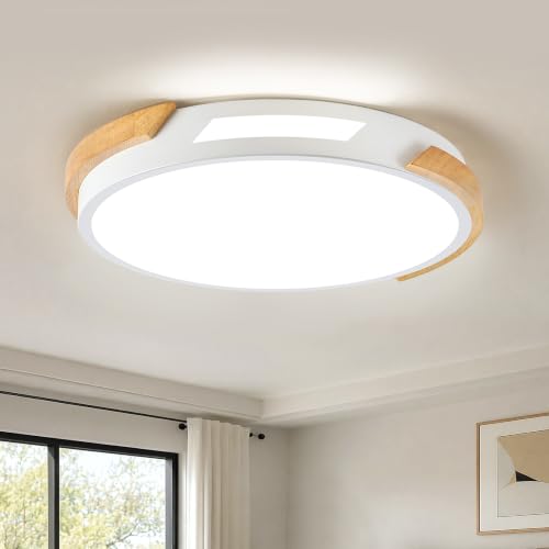 Modern LED Ceiling Light