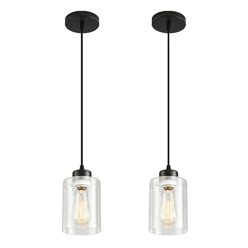 Modern Black Farmhouse Pendant Light with Glass Shade
