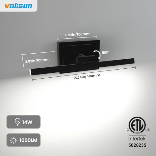 Modern Bathroom Vanity Light 15.7 inch