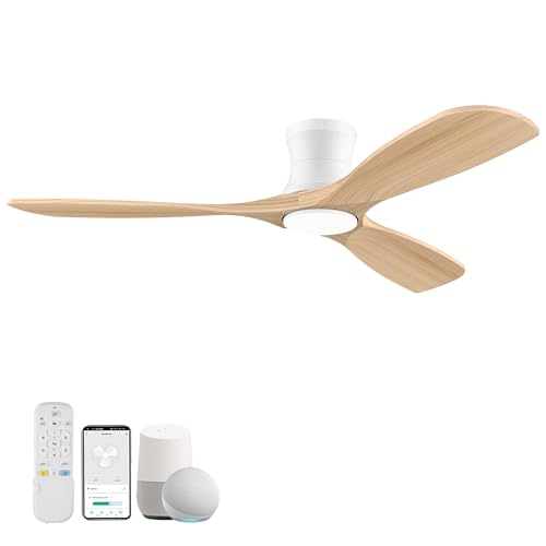 Flush Mount Ceiling Fans with Lights and Remote
