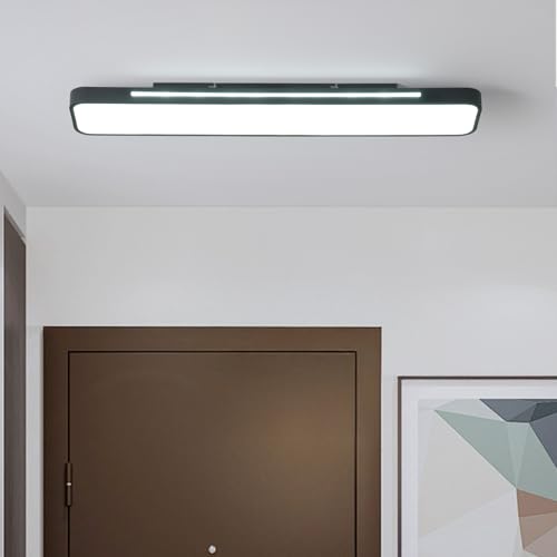 Modern LED Ceiling Light