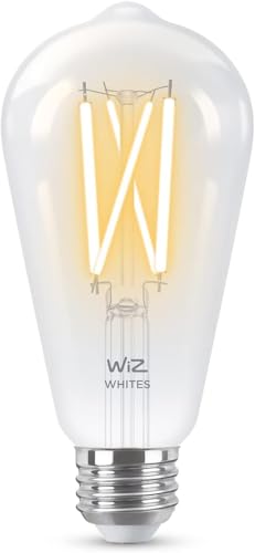 60W ST19 Tunable White Filament LED Smart Light Bulbs
