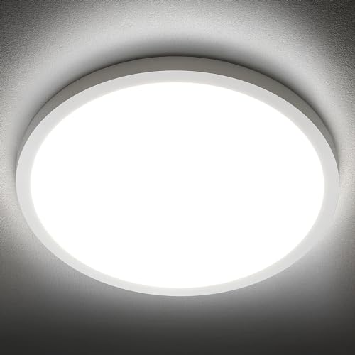 LED Flush Mount Ceiling Light Fixture
