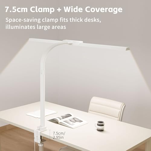24W Desk Lamp with Clamp