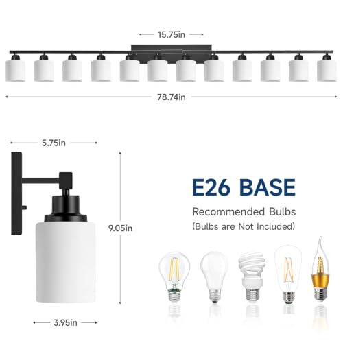 12 Light Black Vanity Lights for Giant Mirror