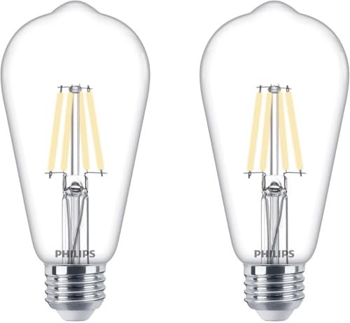 40W S19 2 Pack Vintage Edison Soft White (2 Count)