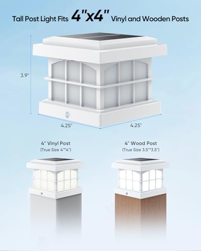 RGBCW Solar Post Cap Lights 8 (8 Count)