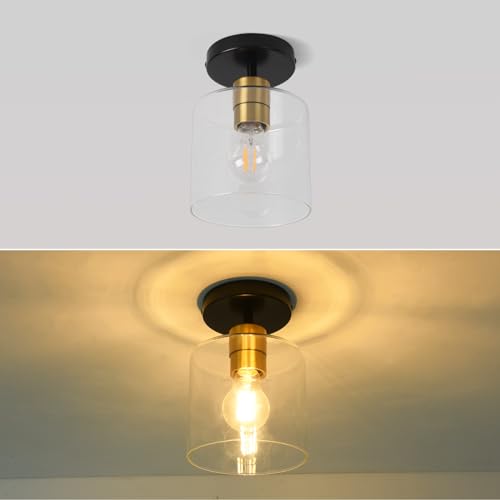Black Brass Semi Flush Mount Ceiling Light