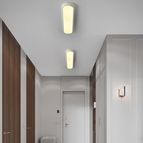 LED Ceiling Light