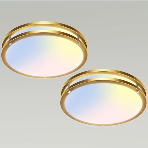 13 Inch Flush Mount Ceiling Lights (2 Count)