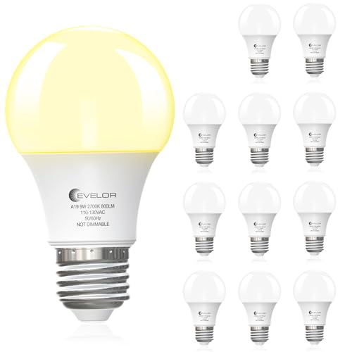 A19 LED Light Bulbs (12 Count)
