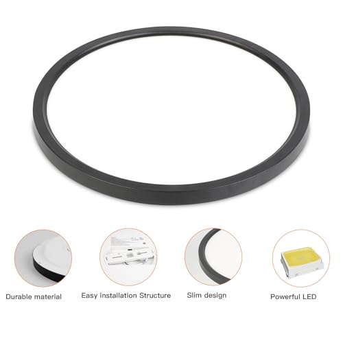 Dimmable Flush Mount Ceiling Light