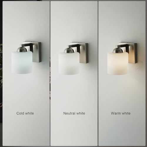 1 Light Brushed Nickel Bathroom Vanity Light with White Glass Shade