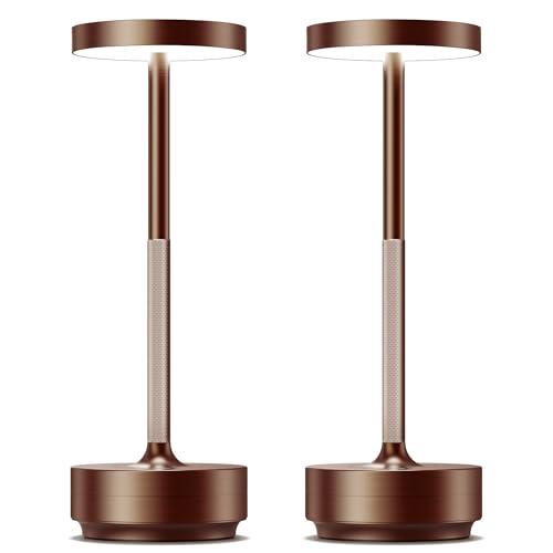 LED Cordless Table Lamp Rechargeable (2 Count)