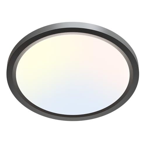LED Ceiling Light Fixture