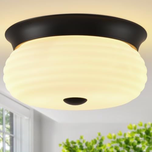 Black Flush Mount Ceiling Light Fixtures (Matte Black-Milk Glass(No Assembly Required))