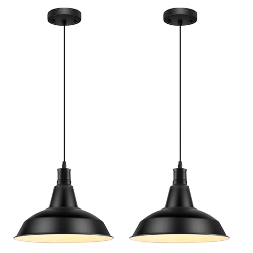 Pendant Light Fixtures (2 Count)