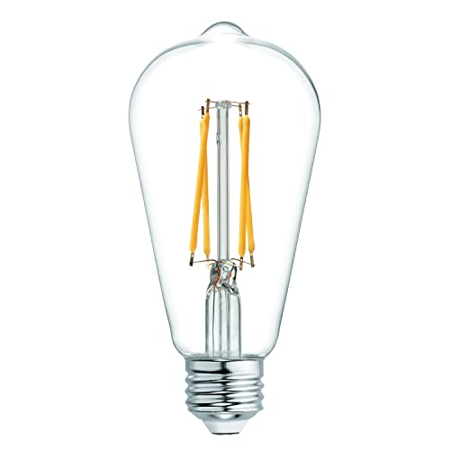 Vintage Style LED Light Bulbs (2 Count)