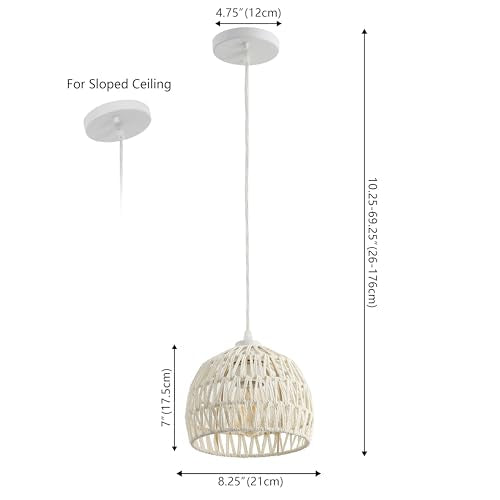 Campana 1 Light Pendant Dome Ceiling Lamp