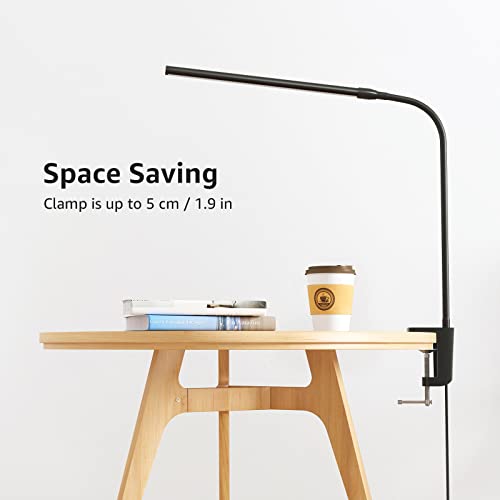 Clip on Desk Lamp