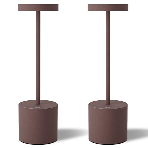 LED Cordless Table Lamps Set of 2