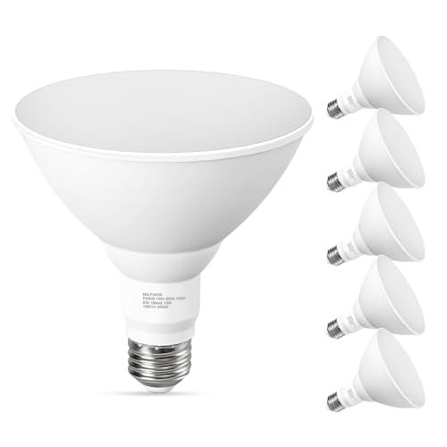 PAR38 Outdoor Flood Light Bulbs (6 Count)