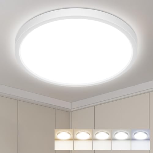 LED Flush Mount Ceiling Light