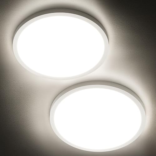 2 Pack 12" LED Flush Mount Ceiling Light 4000K (2 Count)