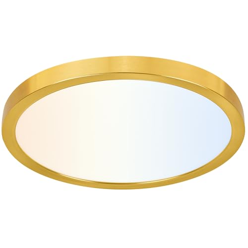 12 Inch Selectable CCT LED Round Flat Panel Light