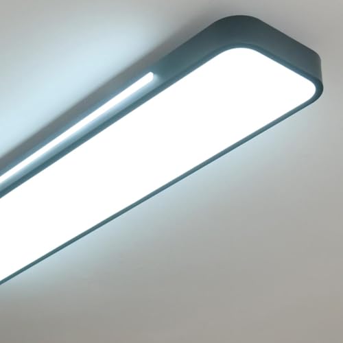 Modern LED Ceiling Light