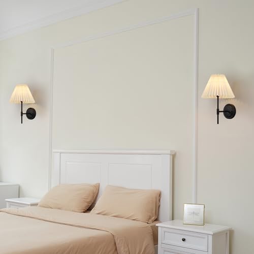 1 Light Wall Sconce
