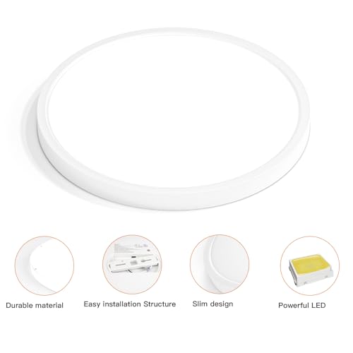 Dimmable Flush Mount Ceiling Light