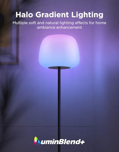 Lantern Floor Lamp