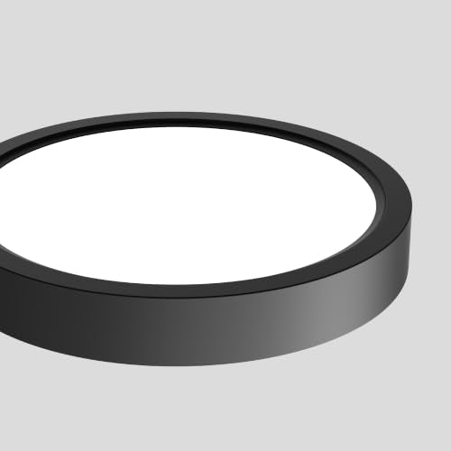 Flush Mount Ceiling Light Fixture