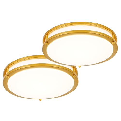 DLLT Flush Mount LED Ceiling Light (2 Count)