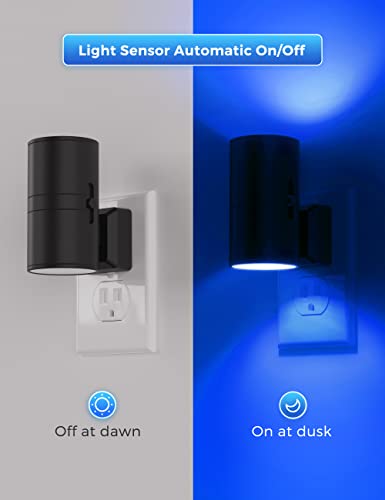 Calm Blue Night Light (2 Count)